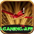 Bingo Patti Legend Gaming App