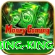 Cricket Betting Pakistan Gaming King